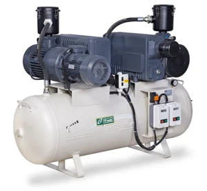Services rotary vane vacuum pump